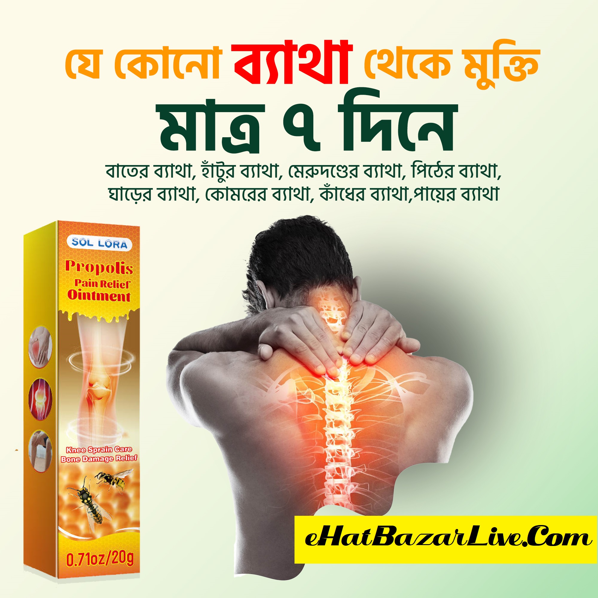 SOL LORA Propolis Pain Relief Ointment – 20g
